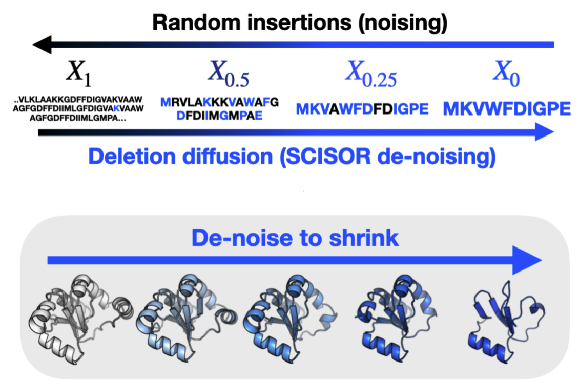 SCISOR visualization