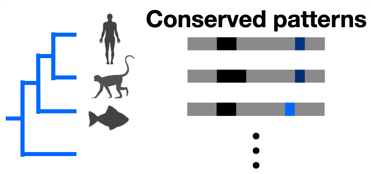 Non-identifiability